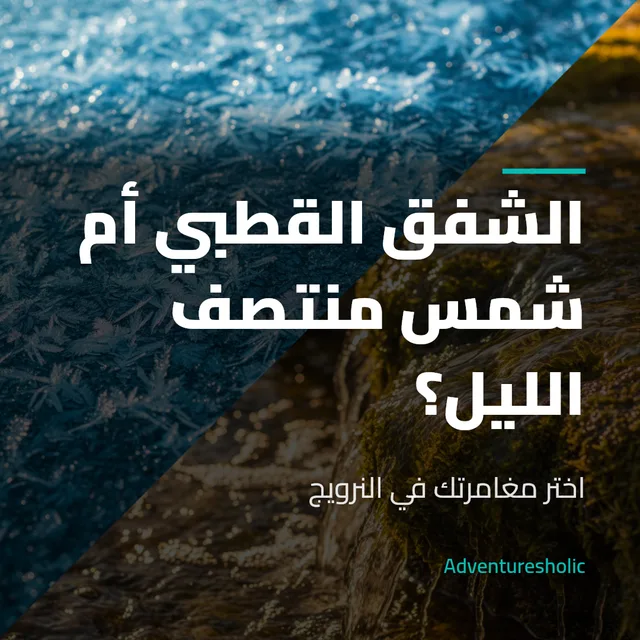 منشور تفاعل: الشفق القطبي أم شمس منتصف الليل؟